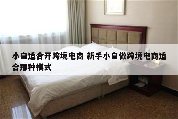 小白适合开跨境电商 新手小白做跨境电商适合那种模式