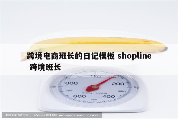 跨境电商班长的日记模板 shopline 跨境班长