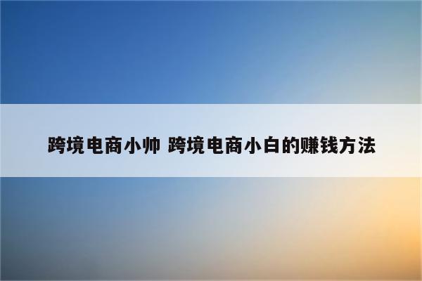 跨境电商小帅 跨境电商小白的赚钱方法