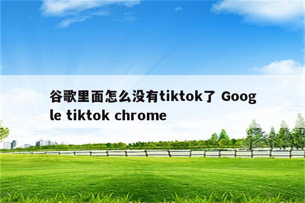 谷歌里面怎么没有tiktok了 Google tiktok chrome