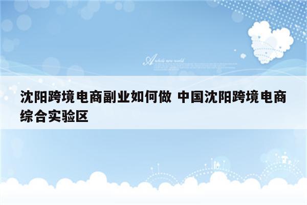沈阳跨境电商副业如何做 中国沈阳跨境电商综合实验区