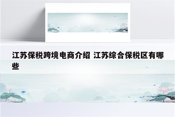 江苏保税跨境电商介绍 江苏综合保税区有哪些