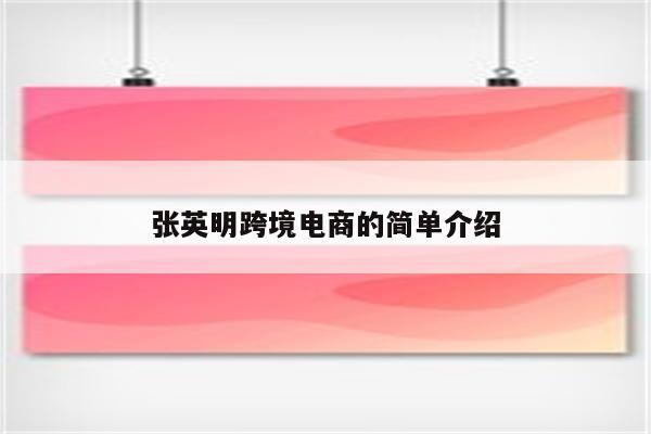 张英明跨境电商的简单介绍