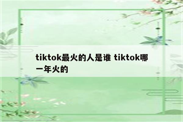 tiktok最火的人是谁 tiktok哪一年火的