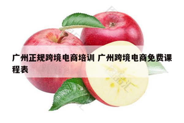 广州正规跨境电商培训 广州跨境电商免费课程表