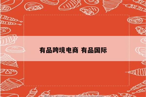 有品跨境电商 有品国际