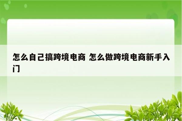 怎么自己搞跨境电商 怎么做跨境电商新手入门