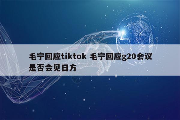 毛宁回应tiktok 毛宁回应g20会议是否会见日方