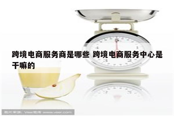 跨境电商服务商是哪些 跨境电商服务中心是干嘛的