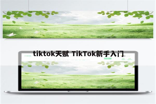 tiktok天赋 TikTok新手入门