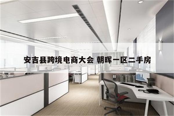 安吉县跨境电商大会 朝晖一区二手房
