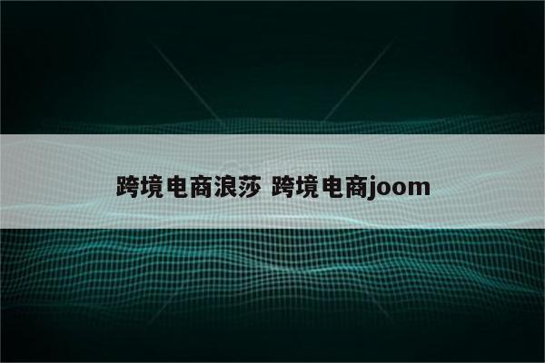 跨境电商浪莎 跨境电商joom