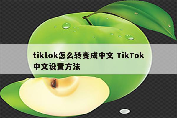 tiktok怎么转变成中文 TikTok中文设置方法
