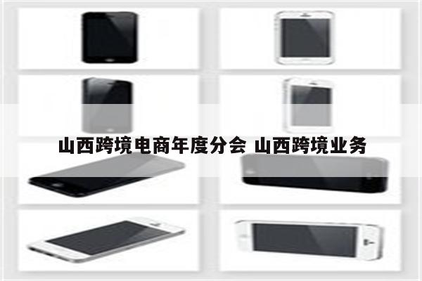 山西跨境电商年度分会 山西跨境业务