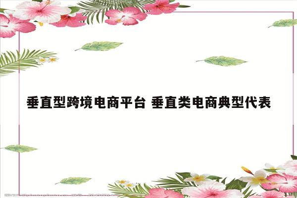 垂直型跨境电商平台 垂直类电商典型代表