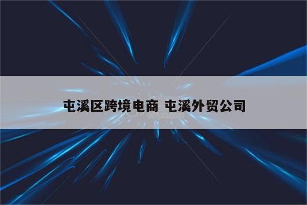 屯溪区跨境电商 屯溪外贸公司