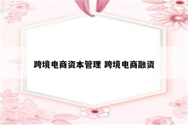 跨境电商资本管理 跨境电商融资