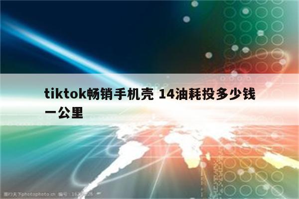 tiktok畅销手机壳 14油耗投多少钱一公里