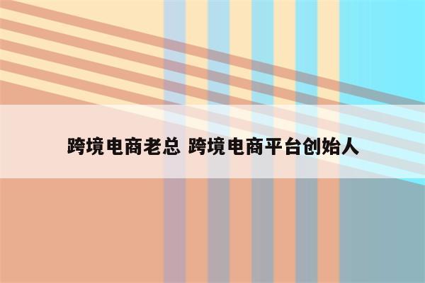 跨境电商老总 跨境电商平台创始人