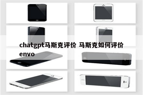 chatgpt马斯克评价 马斯克如何评价envo
