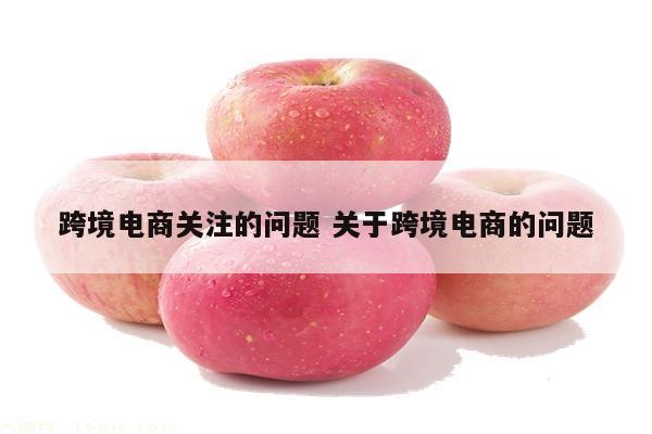 跨境电商关注的问题 关于跨境电商的问题