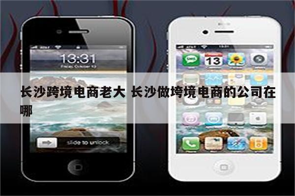 长沙跨境电商老大 长沙做垮境电商的公司在哪