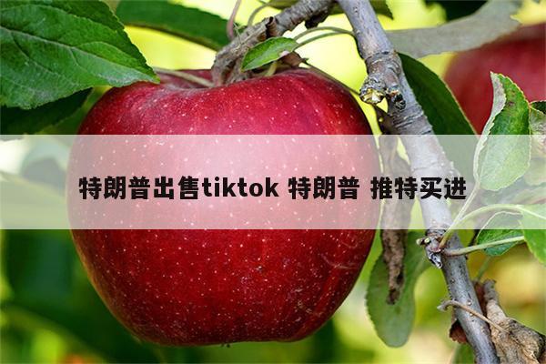 特朗普出售tiktok 特朗普 推特买进