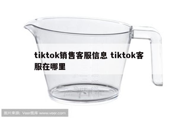 tiktok销售客服信息 tiktok客服在哪里
