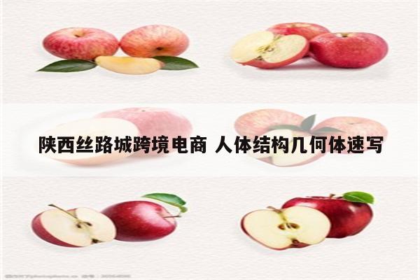 陕西丝路城跨境电商 人体结构几何体速写