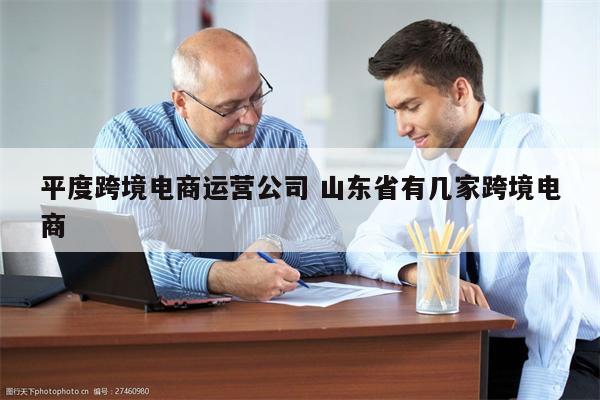 平度跨境电商运营公司 山东省有几家跨境电商