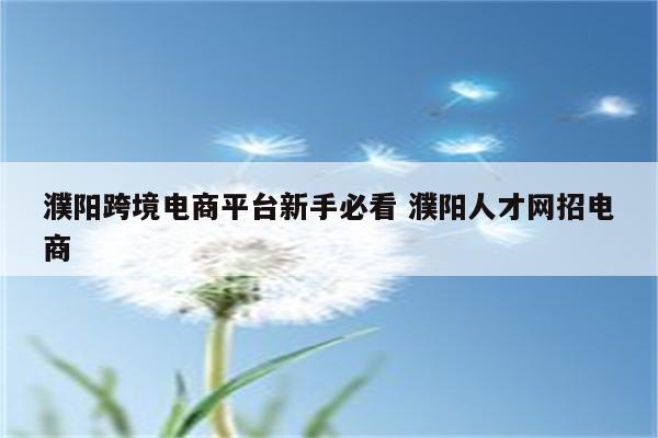 濮阳跨境电商平台新手必看 濮阳人才网招电商