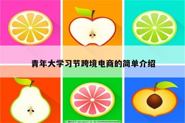 青年大学习节跨境电商的简单介绍