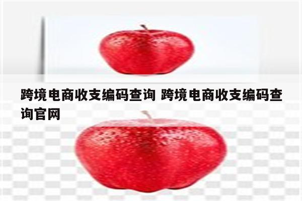 跨境电商收支编码查询 跨境电商收支编码查询官网