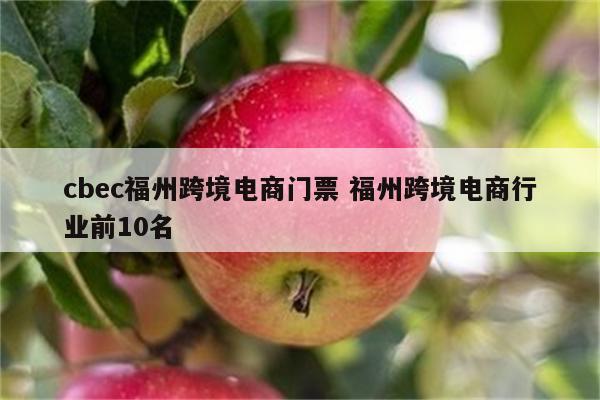 cbec福州跨境电商门票 福州跨境电商行业前10名