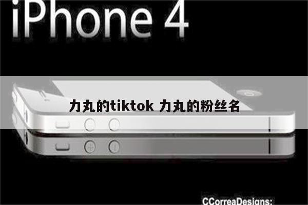 力丸的tiktok 力丸的粉丝名