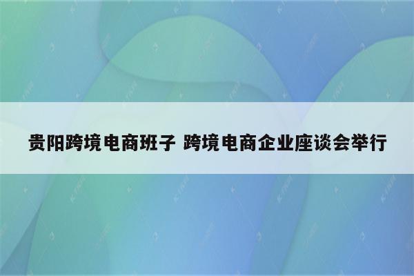 贵阳跨境电商班子 跨境电商企业座谈会举行