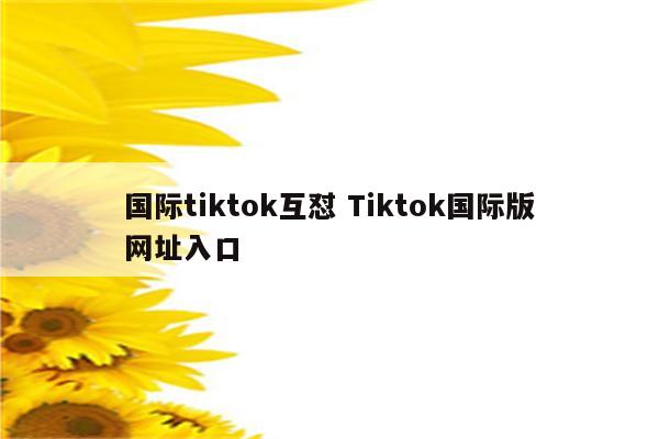 国际tiktok互怼 Tiktok国际版网址入口
