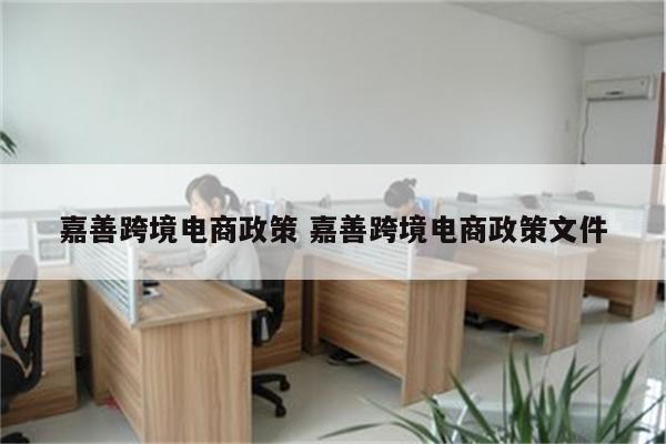嘉善跨境电商政策 嘉善跨境电商政策文件