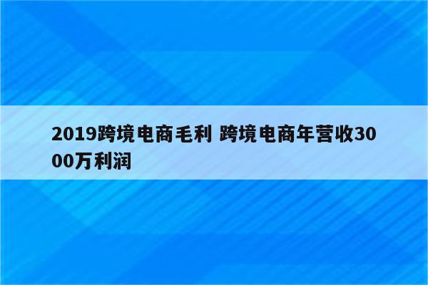 2019跨境电商毛利 跨境电商年营收3000万利润