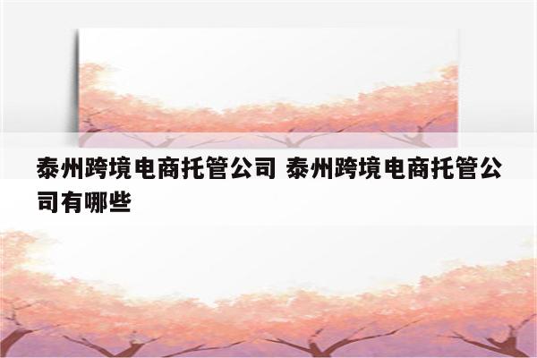 泰州跨境电商托管公司 泰州跨境电商托管公司有哪些