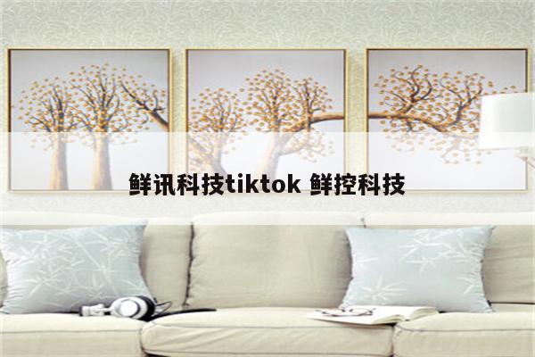 鲜讯科技tiktok 鲜控科技