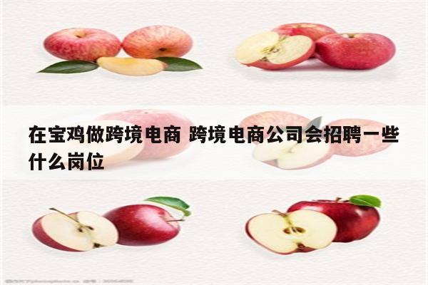 在宝鸡做跨境电商 跨境电商公司会招聘一些什么岗位