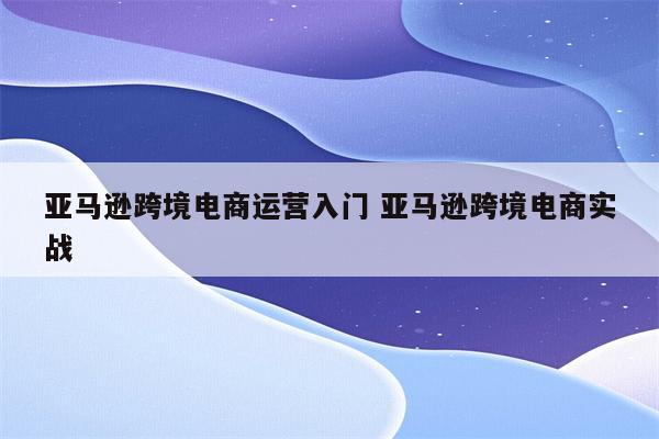 亚马逊跨境电商运营入门 亚马逊跨境电商实战
