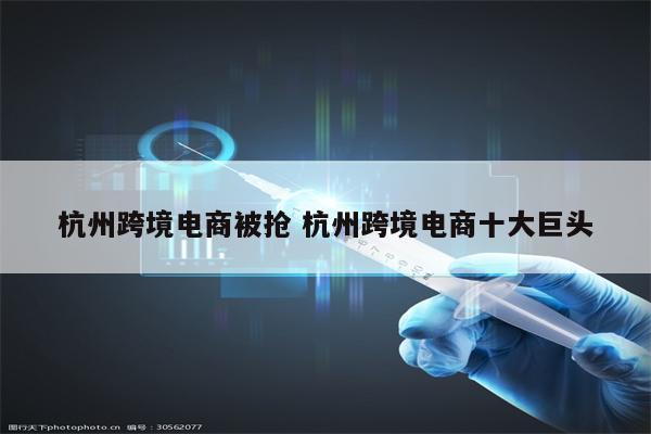杭州跨境电商被抢 杭州跨境电商十大巨头