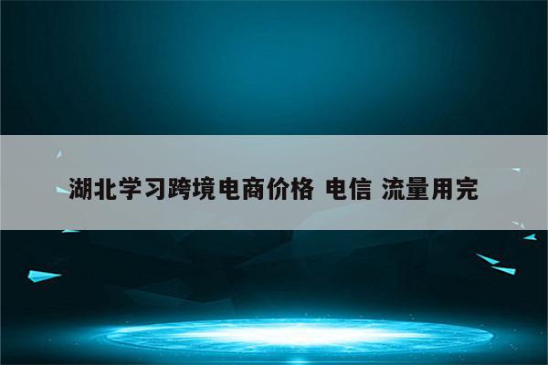 湖北学习跨境电商价格 电信 流量用完