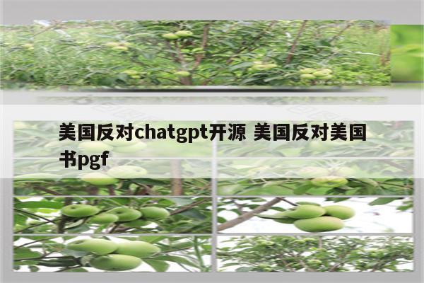 美国反对chatgpt开源 美国反对美国书pgf