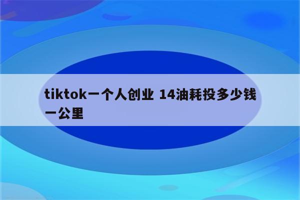 tiktok一个人创业 14油耗投多少钱一公里