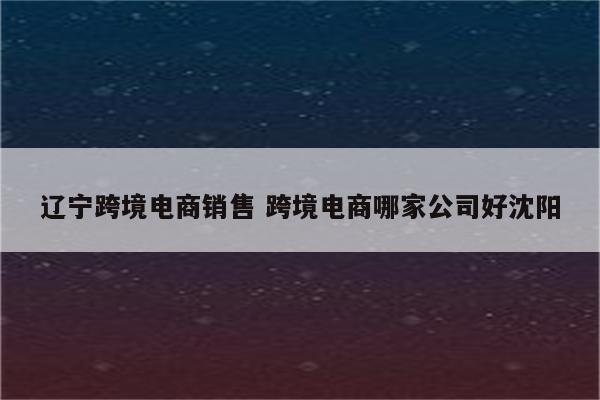 辽宁跨境电商销售 跨境电商哪家公司好沈阳