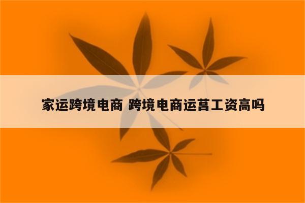 家运跨境电商 跨境电商运莒工资高吗