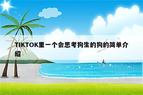 TIKTOK里一个会思考狗生的狗的简单介绍